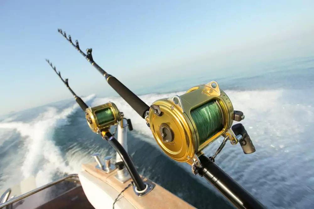 Freshwater Reels Shop 35 Freshwater Reels Shop -Freshwater Reels Shop 59