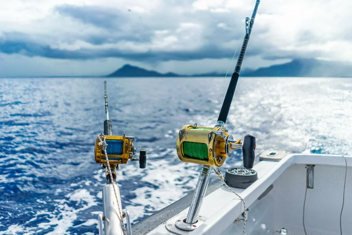 Freshwater Reels Shop 14 Freshwater Reels Shop -Freshwater Reels Shop 65