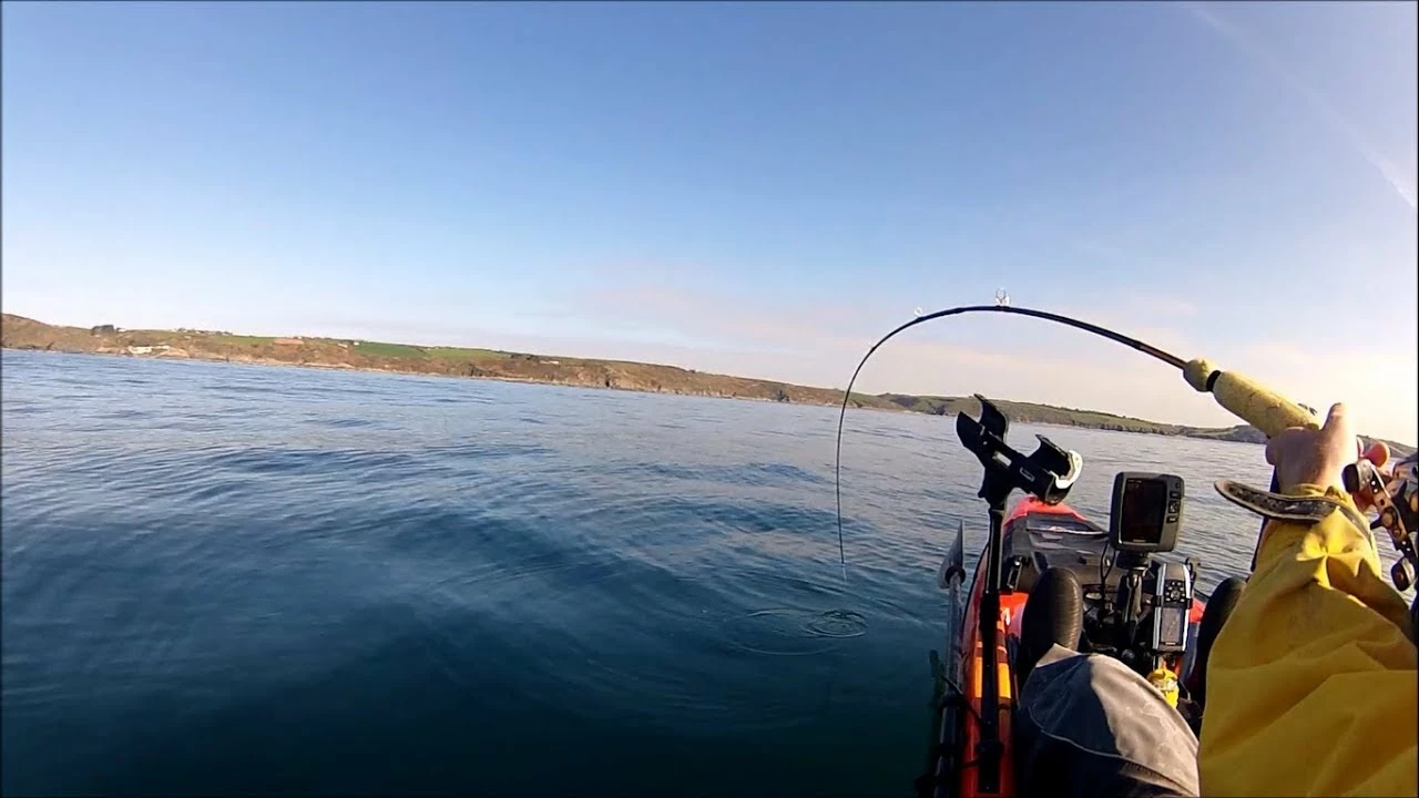 Freshwater Reels Shop -Freshwater Reels Shop 67